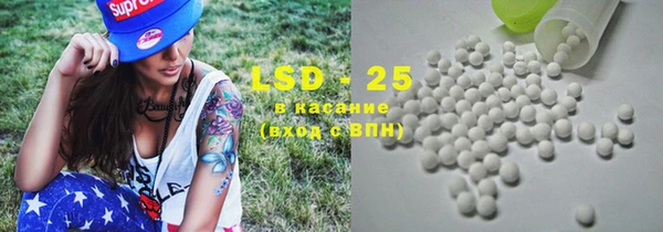 гидропоника Алзамай