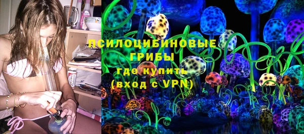 spice Алексин